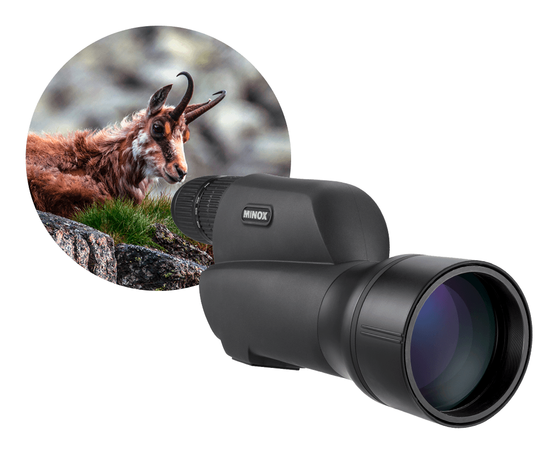 MINOX Spotting Scopes MD 80 ZR | MD80ZR | 80405437